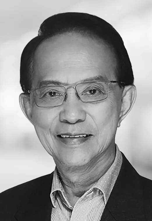 Professor CC Hang, Chairman and CEO